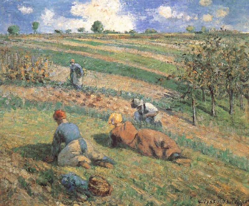 Camille Pissarro Field work Spain oil painting art